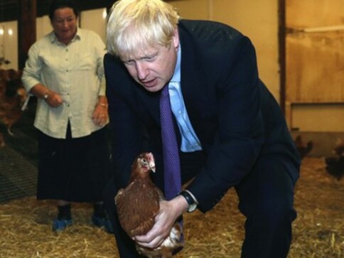 Boris Johnson reassures farmers that Brexit won't hurt economy even as pound slumps to lowest since March 2017 Boris Johnson reassures farmers that Brexit won't hurt economy even as pound slumps to lowest since March 2017