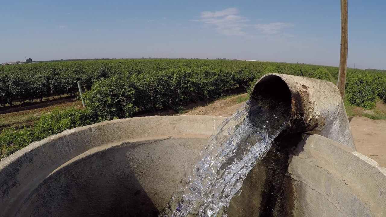 India needs to move its paddy farms out of Punjab, Haryana to prevent desertification