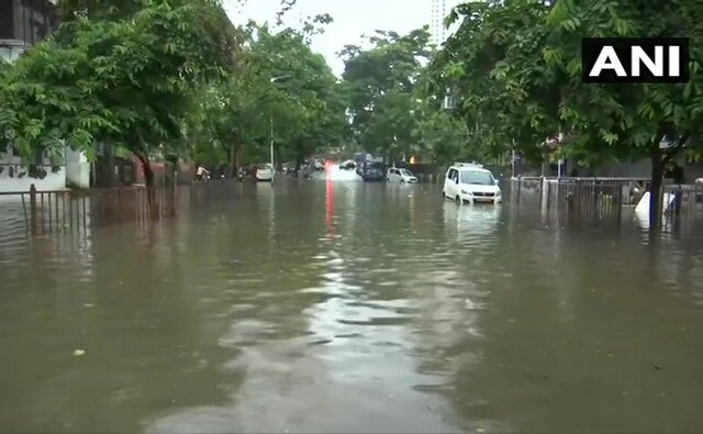 The waterlogging in several low-lying areas like Kalyan, Nala Sopara, Mira Bhayander, Badlapur etc threw life out of gear. Stray animals and bovines stuck in stables mutely suffered the situation. ANI The waterlogging in several low-lying areas like Kalyan, Nala Sopara, Mira Bhayander, Badlapur etc threw life out of gear. Stray animals and bovines stuck in stables mutely suffered the situation. ANI