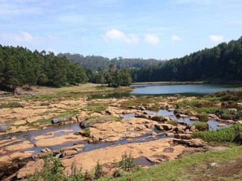 Voice of a Sentient Highland book review: Godwin Vasanth Bosco provides a much-needed voice for the Nilgiris Voice of a Sentient Highland book review: Godwin Vasanth Bosco provides a much-needed voice for the Nilgiris