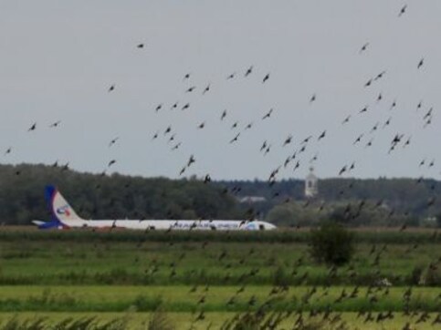 The ecological costs of airplane rides and how a small but growing trend is taking hold of the aviation industry The ecological costs of airplane rides and how a small but growing trend is taking hold of the aviation industry