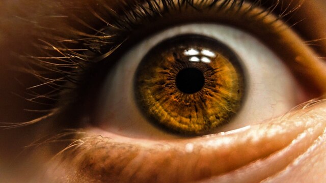 New kind of cell in the eye that perceives brightness discovered by researchers New kind of cell in the eye that perceives brightness discovered by researchers
