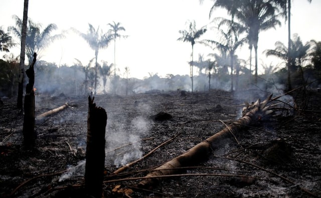 Images show the northernmost state of Roraima covered in dark smoke. Amazon has declared an emergency in the south of the state and in its capital Manaus on 9 August. Acre, on the border with Peru, has been on environmental alert since Friday due to the fires. Reuters Images show the northernmost state of Roraima covered in dark smoke. Amazon has declared an emergency in the south of the state and in its capital Manaus on 9 August. Acre, on the border with Peru, has been on environmental alert since Friday due to the fires. Reuters