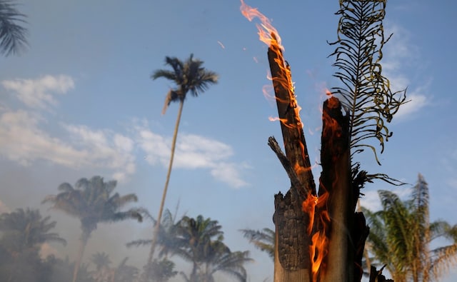 The unprecedented surge in wildfires has occurred since Bolsonaro took office in January vowing to develop the Amazon region for farming and mining, ignoring international concern over increased deforestation. Reuters The unprecedented surge in wildfires has occurred since Bolsonaro took office in January vowing to develop the Amazon region for farming and mining, ignoring international concern over increased deforestation. Reuters
