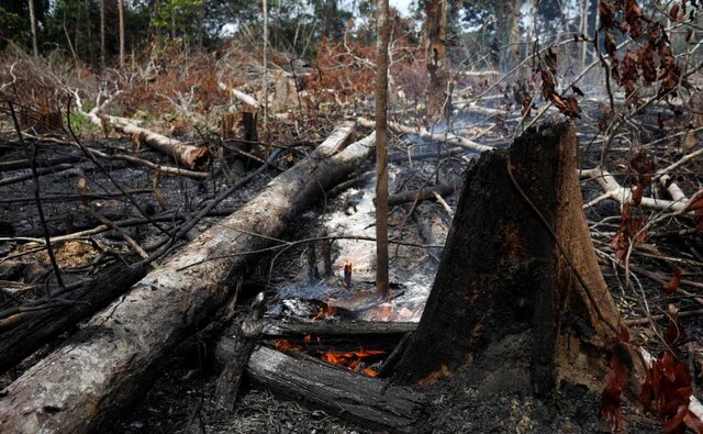 Space agency INPE, however, said the large number of wildfires could not be attributed to the dry season or natural phenomena alone. “There is nothing abnormal about the climate this year or the rainfall in the Amazon region, which is just a little below average,” said INPE researcher Alberto Setzer. Reuters Space agency INPE, however, said the large number of wildfires could not be attributed to the dry season or natural phenomena alone. “There is nothing abnormal about the climate this year or the rainfall in the Amazon region, which is just a little below average,” said INPE researcher Alberto Setzer. Reuters