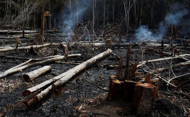 Bolsonaro recently fired the director of INPE after he criticized agency statistics showing an increase in deforestation in Brazil, saying they were inaccurate. “I am waiting for the next set of numbers, that will not be made up numbers. If they are alarming, I will take notice of them in front of you,” he told reporters. Reuters Bolsonaro recently fired the director of INPE after he criticized agency statistics showing an increase in deforestation in Brazil, saying they were inaccurate. “I am waiting for the next set of numbers, that will not be made up numbers. If they are alarming, I will take notice of them in front of you,” he told reporters. Reuters