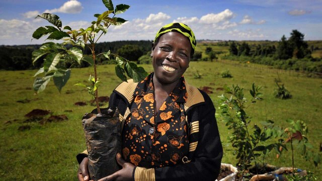 Rapid deforestation, meat production driving climate crisis, says IPCC in UN report on land use Rapid deforestation, meat production driving climate crisis, says IPCC in UN report on land use