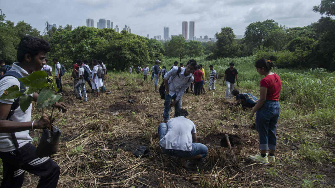 Participants plant peepal seedlings in a plot of land in Aarey. Over 400 people attended this plantation drive by the Athalyes to plant 300 peepal saplings. Image credit: Kartik Chandramouli/Mongabay.
