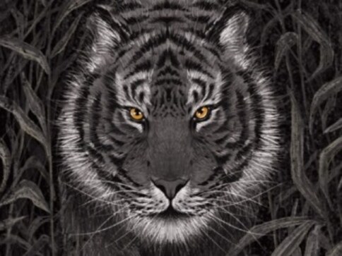 Animalia Indica: Sumana Roy curates stories that uphold bygone animal-human bond, dazzle with illustrations