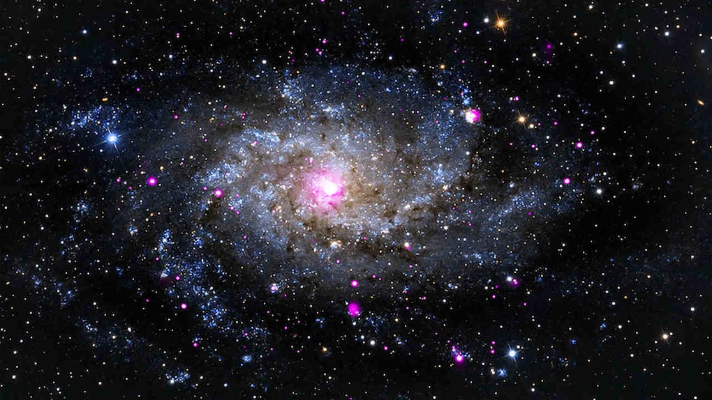 The Triangulum Galaxy, a.k.a., Messier 33, is a spiral galaxy, 3 million light-years from Earth. It belongs to the Local Group of galaxies that includes the Milky Way and Andromeda galaxies. Chandra's X-ray data revealed a diverse range of objects including neutron stars and black holes are pulling material from a companion star, and supernova remnants. Image credit: NASA/CXC The Triangulum Galaxy, a.k.a., Messier 33, is a spiral galaxy, 3 million light-years from Earth. It belongs to the Local Group of galaxies that includes the Milky Way and Andromeda galaxies. Chandra's X-ray data revealed a diverse range of objects including neutron stars and black holes are pulling material from a companion star, and supernova remnants. Image credit: NASA/CXC