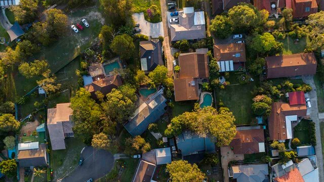 Cities need more trees, but the commonly planted ones won't survive climate change Cities need more trees, but the commonly planted ones won't survive climate change