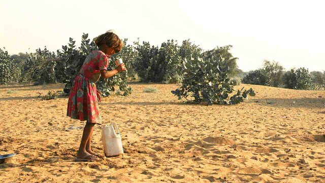 No land will be left, if India does not achieve land degradation neutrality by 2030, says experts No land will be left, if India does not achieve land degradation neutrality by 2030, says experts
