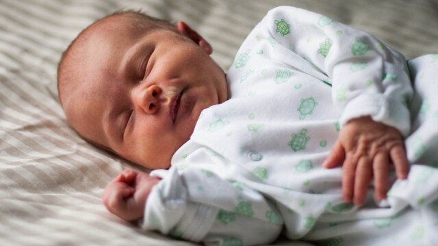 Human brain actively forgets 'unnecessary' memories when we sleep: Study Human brain actively forgets 'unnecessary' memories when we sleep: Study