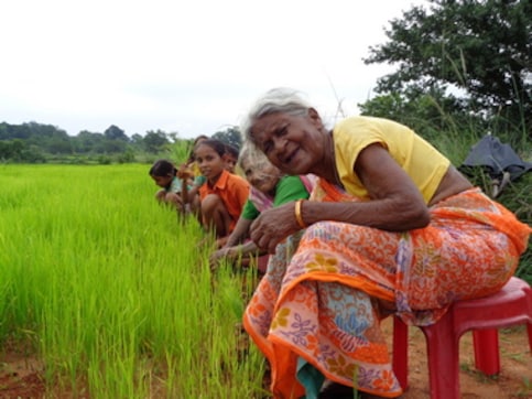 Adivasis and the Indian State: Overcoming financial constraints, facing social hostility — what 'education' means for four tribal students Adivasis and the Indian State: Overcoming financial constraints, facing social hostility — what 'education' means for four tribal students