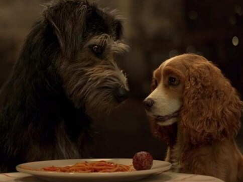 Lady And The Tramp trailer: Tessa Thompson, Justin Theroux bring new life to Disney's 1955 animated classic Lady And The Tramp trailer: Tessa Thompson, Justin Theroux bring new life to Disney's 1955 animated classic