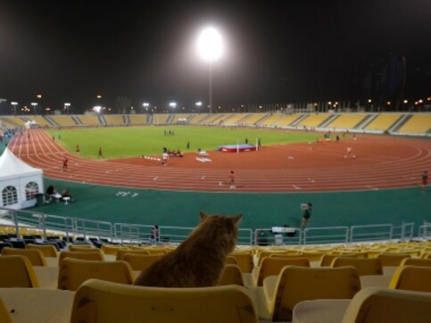 FIFA World Cup 2022: Qatar to inaugurate third stadium for marquee tournament during 2019 Club World Cup FIFA World Cup 2022: Qatar to inaugurate third stadium for marquee tournament during 2019 Club World Cup