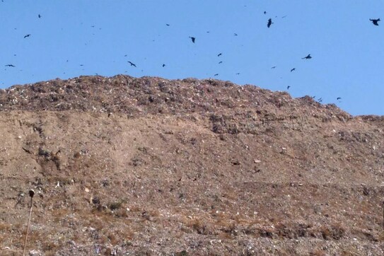 Living near Delhi's tallest garbage mountain, Ghazipur locals continue to gasp for fresh air Living near Delhi's tallest garbage mountain, Ghazipur locals continue to gasp for fresh air