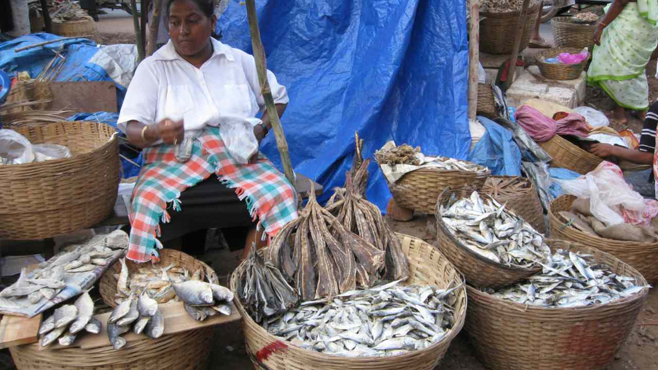 Vendor at Margao Fish Market. image credit: Aaron C, Wikimedia Commons