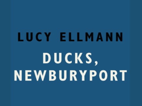 Ducks, Newburyport review: Navigating the exhausting beauty of Lucy Ellmann's mindscape
