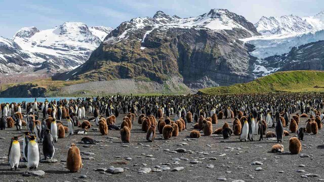 Climate breakdown is increasing the economic value of polar seas — beware the business opportunists Climate breakdown is increasing the economic value of polar seas — beware the business opportunists