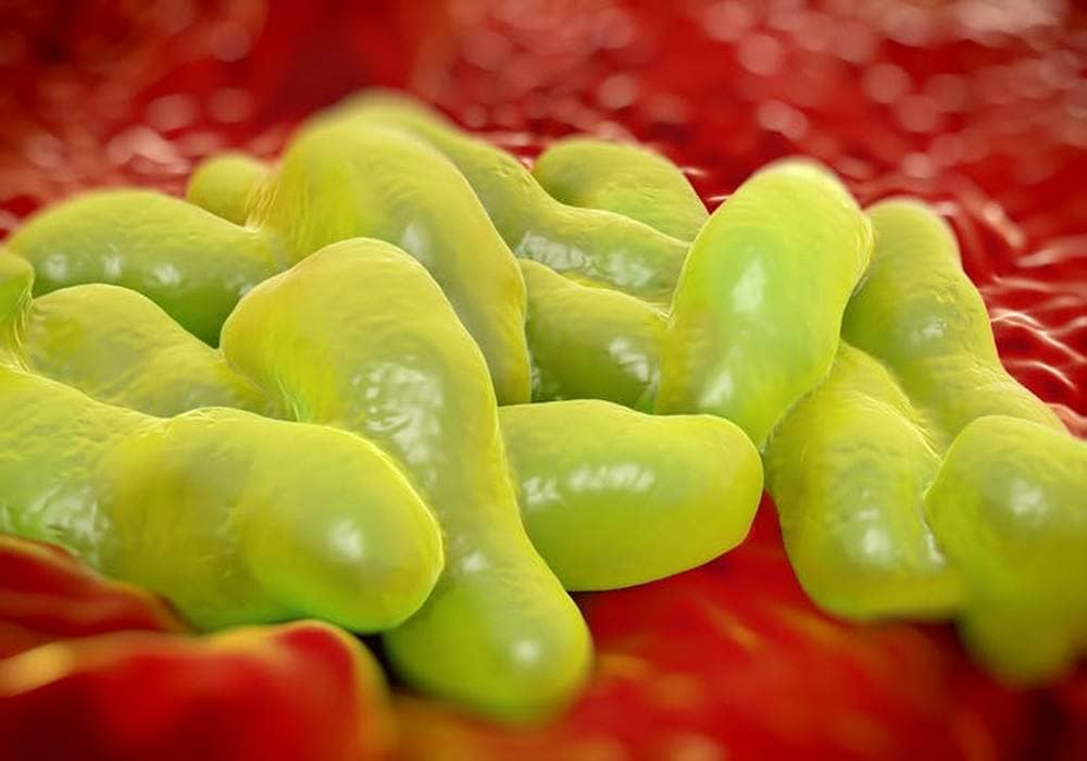 Raw milk has been linked to food poisoning from Campylobacter. image credit: royaltystockphoto/Shutterstock