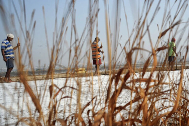 Salt pans are vital to Mumbai’s ecology and act as a natural barrier to flooding. image credit: Uday Tadphale.