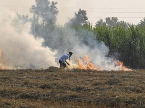 Administration in Haryana’s Fatehabad asks agriculture department to lodge FIR against farmers for setting crop residue on fire Administration in Haryana’s Fatehabad asks agriculture department to lodge FIR against farmers for setting crop residue on fire