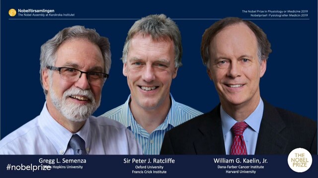 Nobel Medicine Prize awarded to three scientists for discovering how cells adapt to low oxygen supply Nobel Medicine Prize awarded to three scientists for discovering how cells adapt to low oxygen supply
