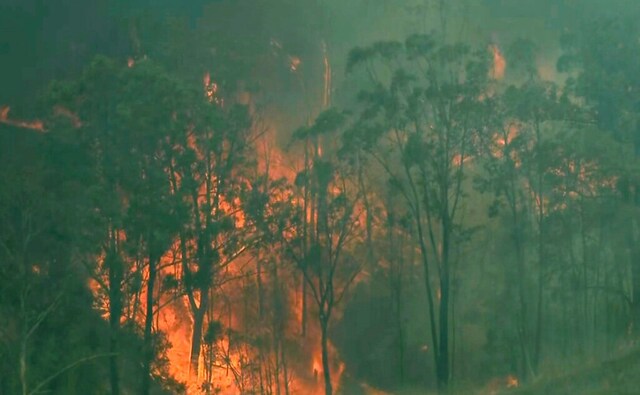 The fires have been fuelled by tinder-dry conditions after three years of drought that experts say has been exacerbated by climate change, a factor that has sparked a sharp political debate in recent days. Firefighters have said that the blazes are likely to burn for weeks without significant rainfall. AP The fires have been fuelled by tinder-dry conditions after three years of drought that experts say has been exacerbated by climate change, a factor that has sparked a sharp political debate in recent days. Firefighters have said that the blazes are likely to burn for weeks without significant rainfall. AP