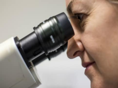 Australian scientists say they may have found a cure for cancer