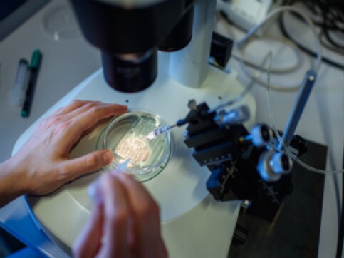 Another step closer to curing cancer and genetic diseases: All you need to know about CRISPR-Cas9 Another step closer to curing cancer and genetic diseases: All you need to know about CRISPR-Cas9