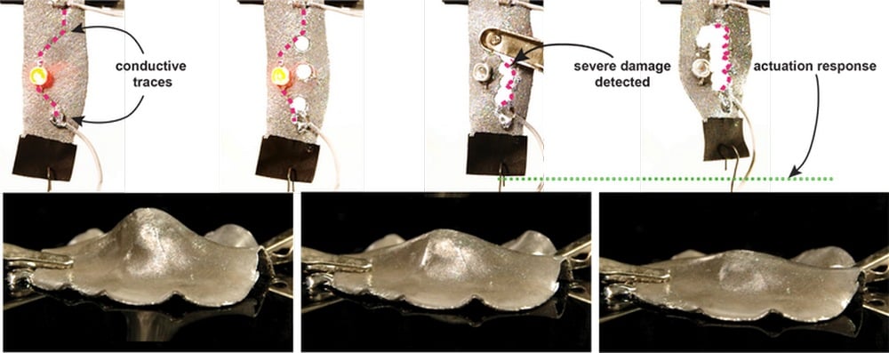 Top: The damage-sensing composite is connected to a light-emitting diode to indicate that conductivity is active. When the damage is severe enough, new conductive pathways form. The new conductive pathways cause the composite to ‘respond’ by actuating. Bottom: The composite can reversibly morph in complex ways, like this dome that flattens when activated. Image credit: Ford et al, PNAS