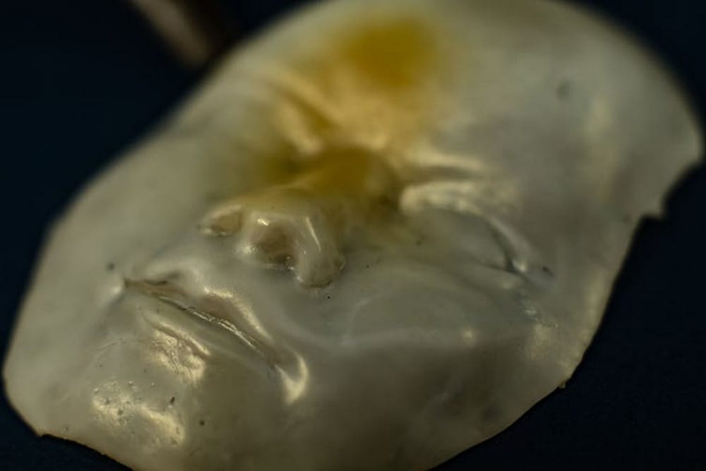 Liquid crystal elastomers are a type of shape memory material that can be programmed into a specific shape, like this 3-D face, and then reversibly transform into another shape, such as a flat sheet. Image credit: Jeff Fitlow/Rice University,