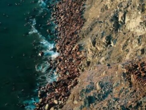 Greenwashing? Why wildlife television is finally engaging with the climate emergency Greenwashing? Why wildlife television is finally engaging with the climate emergency