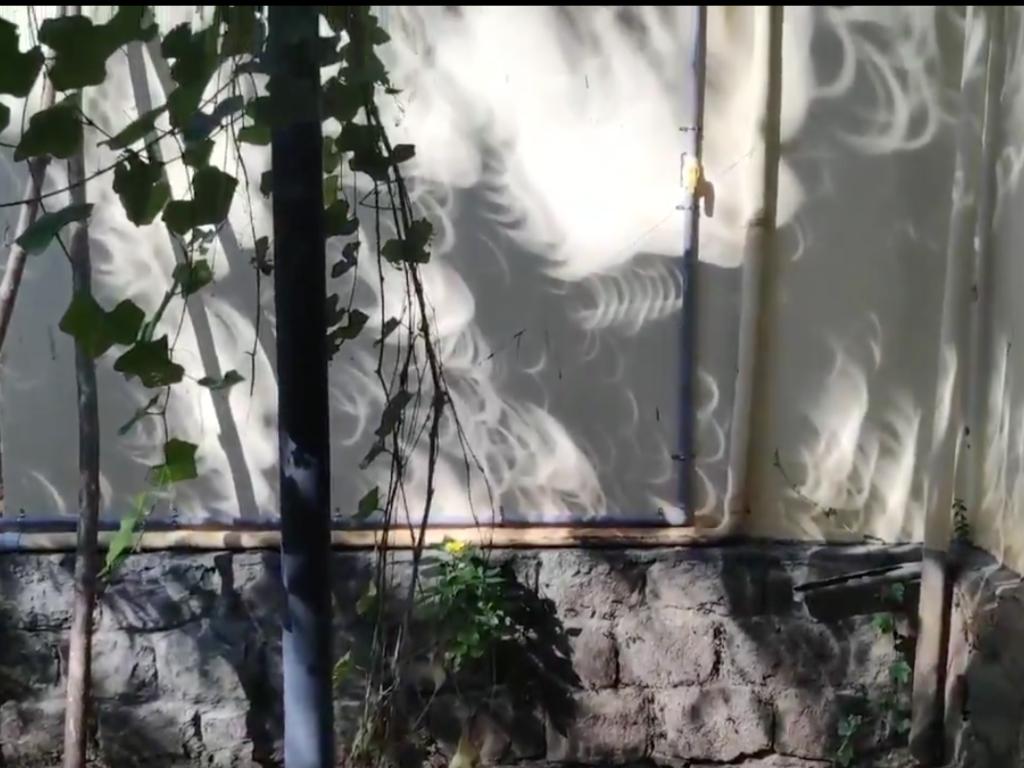 Crescent shadows from trees during the eclipse, in Chennai. Image: Twitter/Deepu Sebastian Crescent shadows from trees during the eclipse, in Chennai. Image: Twitter/Deepu Sebastian