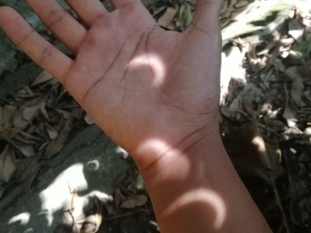 A whole lot of people seem to have enjoyed playing with solar eclipse shadows during the eclipse. Image: Twitter/Kening Tebal A whole lot of people seem to have enjoyed playing with solar eclipse shadows during the eclipse. Image: Twitter/Kening Tebal