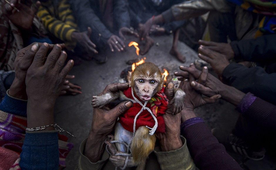 The cold wave is not expected to relent until the New Year. The India Meteorological Department has issued a red-coded warning for Punjab, Haryana, Delhi, Rajasthan, Uttar Pradesh and Bihar, and amber-colour warning for Madhya Pradesh for Sunday. Seen here, an infant monkey sits in the arms of his master, as people warm themselves around a fire. PTI The cold wave is not expected to relent until the New Year. The India Meteorological Department has issued a red-coded warning for Punjab, Haryana, Delhi, Rajasthan, Uttar Pradesh and Bihar, and amber-colour warning for Madhya Pradesh for Sunday. Seen here, an infant monkey sits in the arms of his master, as people warm themselves around a fire. PTI