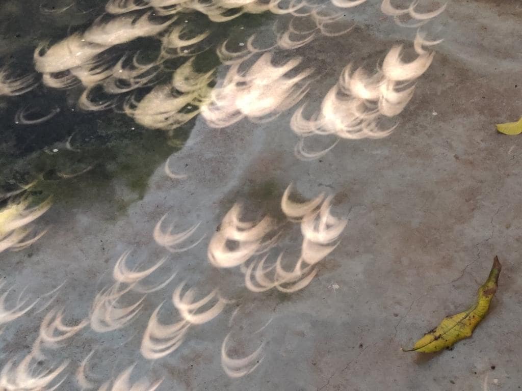 Another stunning shot of the sharp shadows from the 26 December solar eclipse, cast through tree leaves in Trichy. Trichy was one of several cities in Southern India that were in the path of the annularity. Image: Bhavya Venkatesh/Twitter Another stunning shot of the sharp shadows from the 26 December solar eclipse, cast through tree leaves in Trichy. Trichy was one of several cities in Southern India that were in the path of the annularity. Image: Bhavya Venkatesh/Twitter