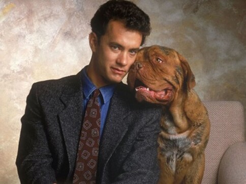 Turner & Hooch, Tom Hanks' 1989 buddy cop film, to possibly get a TV series reboot at Disney+ Turner & Hooch, Tom Hanks' 1989 buddy cop film, to possibly get a TV series reboot at Disney+