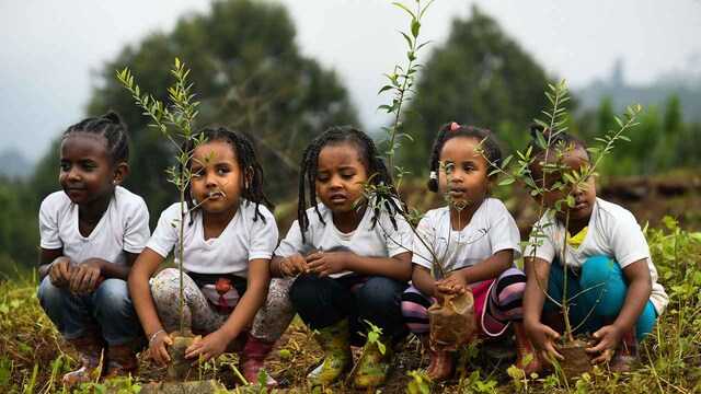 A group of young Ethiopian girls take part in a national tree-planting drive in the capital Addis Ababa in July 2019. Ethiopia had planned to plant a mind-boggling four billion trees by October 2019 – part of a global movement to restore forests to help fight climate change and protect resources. The country went on to plant an estimated 3.5 billion between June and August. Another 1.5 billion plants were grown, but not planted according to the last official numbers by the Ethiopian government. Image: Michael Teweldw/AFP A group of young Ethiopian girls take part in a national tree-planting drive in the capital Addis Ababa in July 2019. Ethiopia had planned to plant a mind-boggling four billion trees by October 2019 – part of a global movement to restore forests to help fight climate change and protect resources. The country went on to plant an estimated 3.5 billion between June and August. Another 1.5 billion plants were grown, but not planted according to the last official numbers by the Ethiopian government. Image: Michael Teweldw/AFP