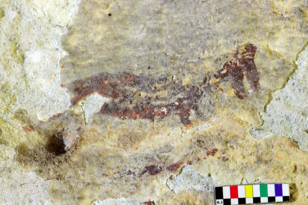 A therianthropic figure in the hunting scene at Leang Bulu’ Sipong 4. This motif appears to represent a human figure with bird-like head and beak. Image credit: Ratno Sardi