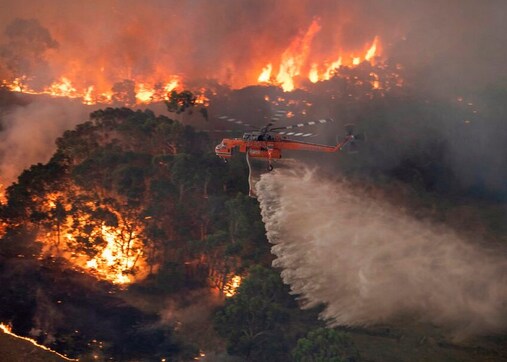 Australia bushfires: New estimate suggests one billion animals have perished nationwide Australia bushfires: New estimate suggests one billion animals have perished nationwide