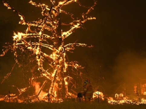 Australia vs New Zealand: Cricketers turn attention to deadly wildfires ahead of third Test in Sydney Australia vs New Zealand: Cricketers turn attention to deadly wildfires ahead of third Test in Sydney