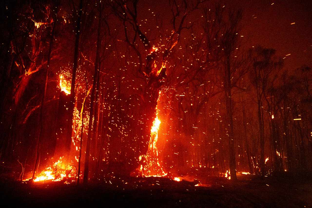 Winds stoke the bushfire front in Tomerong, New South Wales, on 4 January 2019. High winds and temperatures over 100 degrees Fahrenheit were likely to exacerbate fires already raging out of control on Saturday; Officials in New South Wales said they expected to lose more houses over the weekend. Image: Matthew Abbott/NYT