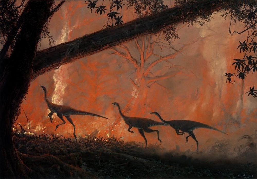 The ability to run fast and far was not enough to save dinosaurs from firestorms. Image credit: Douglas Henderson
