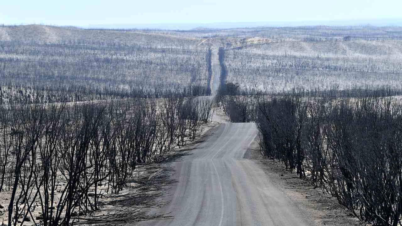 The charred remains of Flinders Chase National Park after bushfires swept through Kangaroo Island. Image credit: DAVID MARIUZ
