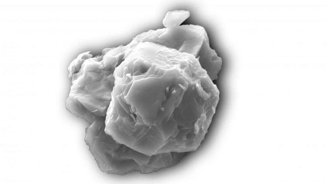 Scientists took electron microscope photos to be able to see the grains—this one is eight microns across, about the size of a single red blood cell. Image credit: Janaína N. Ávila