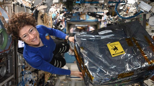 After 11 months in space, astronaut Christina Koch can't wait to surf, dig into salsa and chips After 11 months in space, astronaut Christina Koch can't wait to surf, dig into salsa and chips