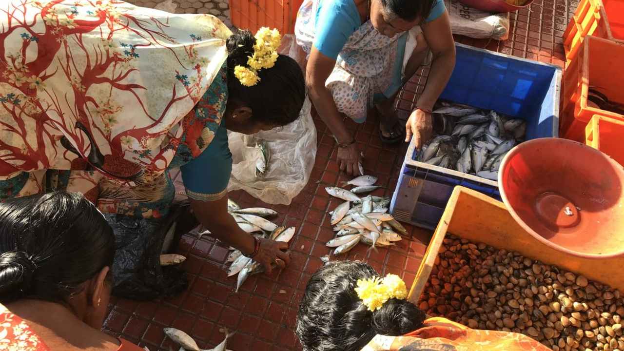 Fish sellers sorting their buy after auction at Padubidri Fish market. Photo by SupriyaVohra.