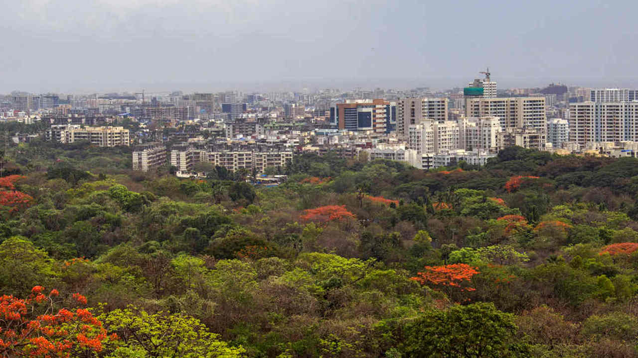 A view of Aarey Milk Colony. When a forest inside a city is converted for a Metro car shed, ultimately it is the poor and the marginalised who will suffer. Image credit: Rajesh Sanap